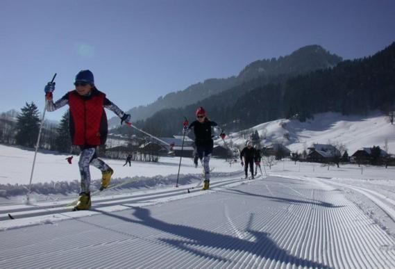 Realp-Andermatt 3,5 Locali Giardino Privato In Mezzo La Natura, Spettacolare Per Appassionati Montanbike, Pesca Ecc In Inverno Fai Sci Di Fondo Dal Giardino E Con Il Treno Davanti A Casa Si Raggiunge In 5Min Il Comprensorio Scistico Di Andermatt ภายนอก รูปภาพ